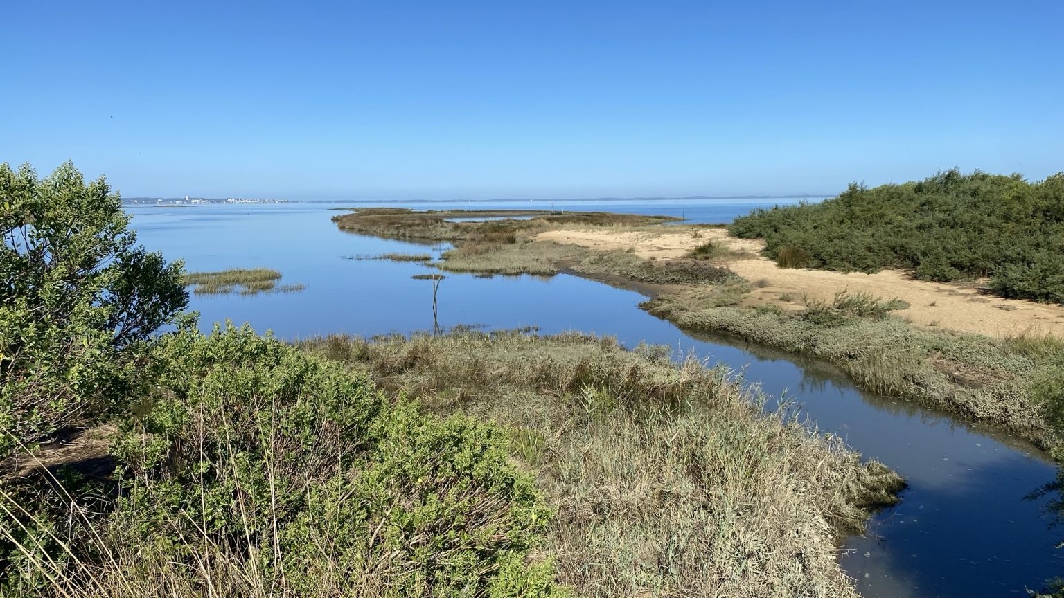 Paysage du Bassin d’Arcachon