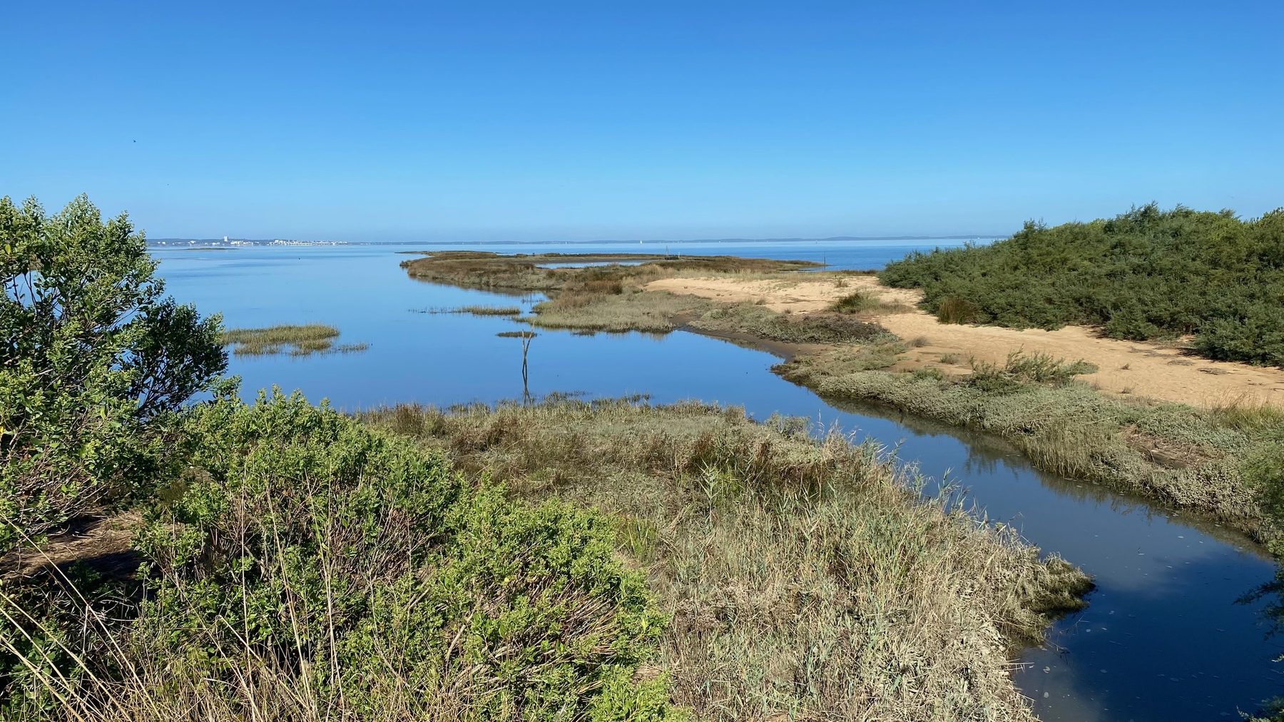 Paysage naturel du Bassin d’Arcachon à proximité de Gujan-Mestras