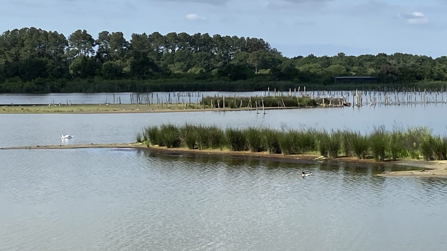 Paysage naturel du Bassin d’Arcachon hors saison