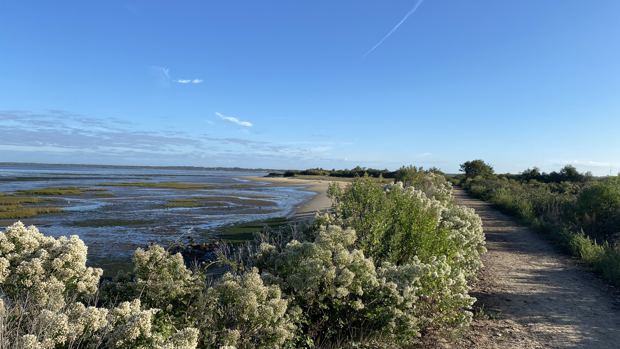 Hochzeit · Gäste · Bassin d’Arcachon — 4